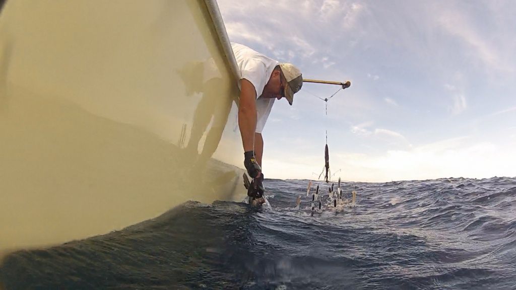 Best manual downrigger for pulling dredges with? The Hull Truth